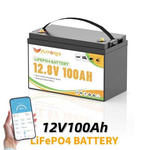Batteria litio 12v 100ah - litio,